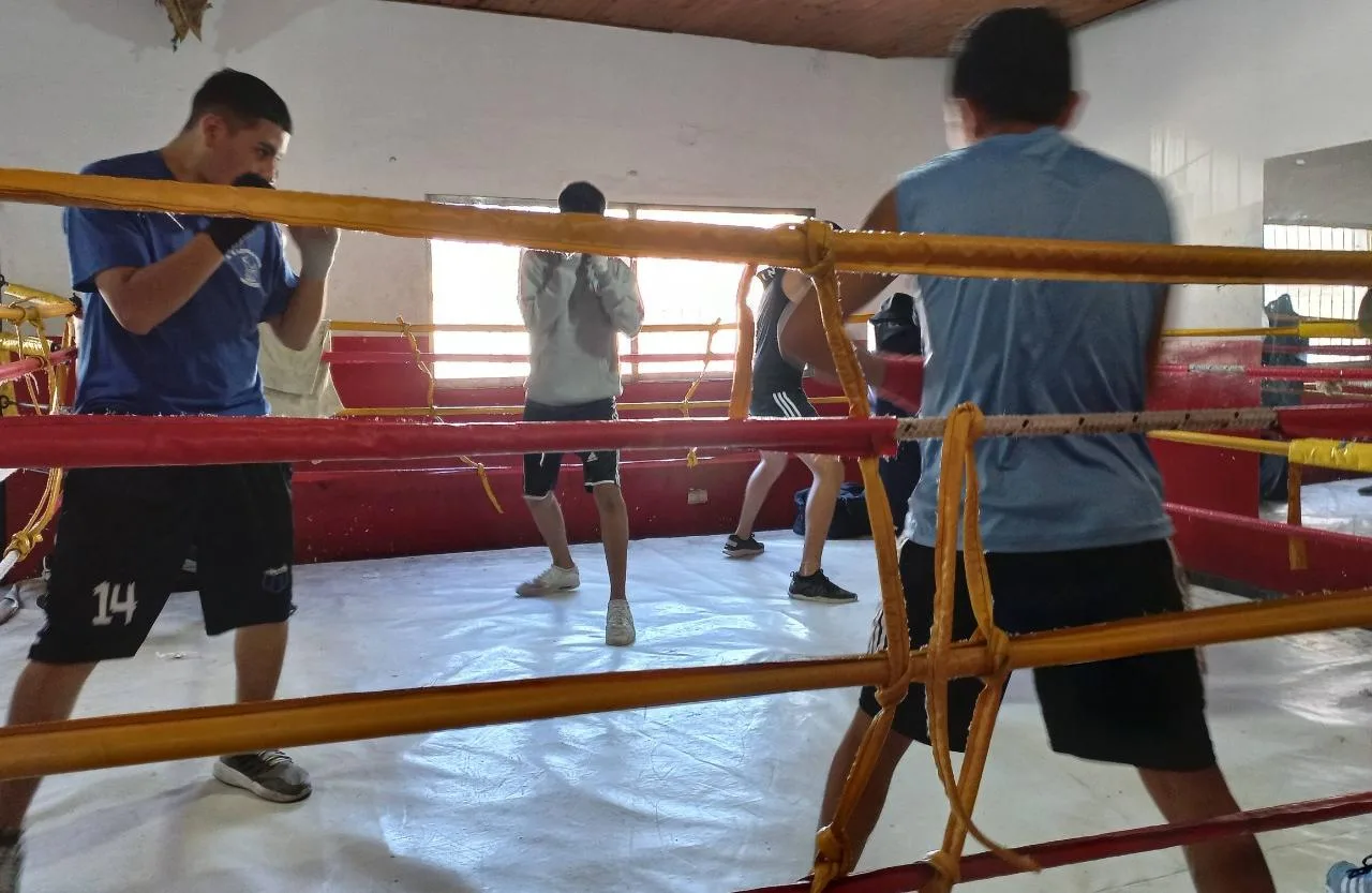 Boxeo