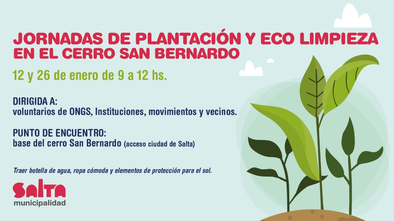 eco-limpieza-jornada-flyer