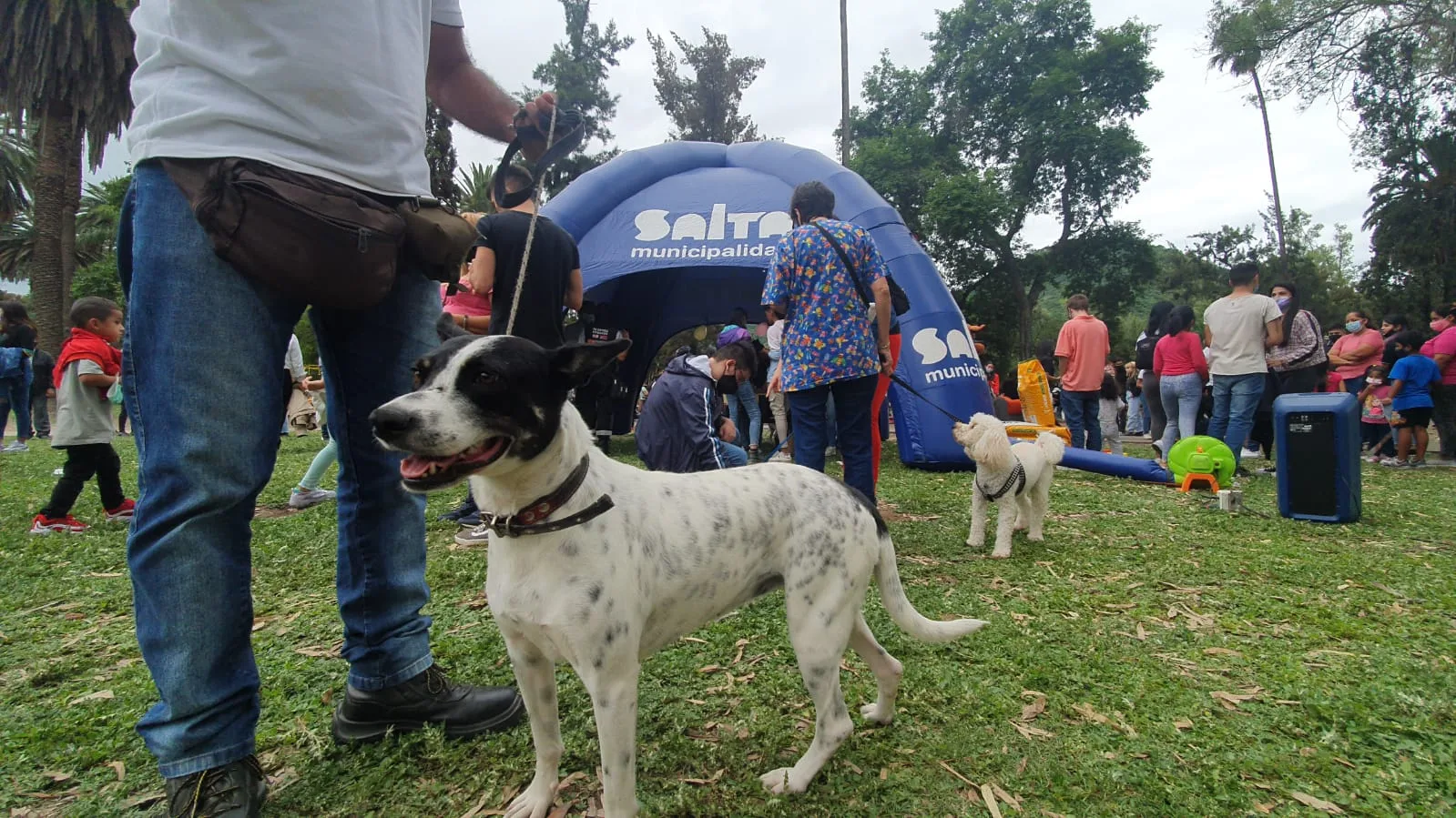 jornada adopciones parque San Martín 3