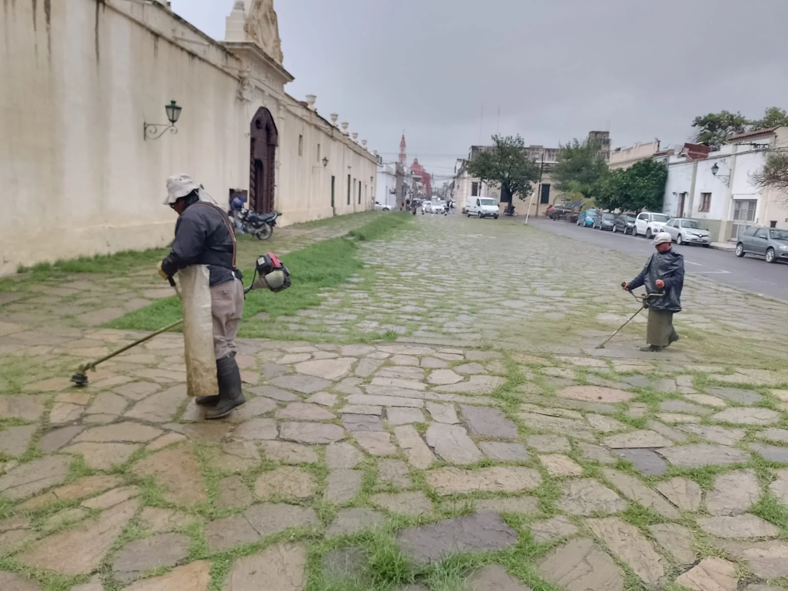 desmalezado y corte de césped 2