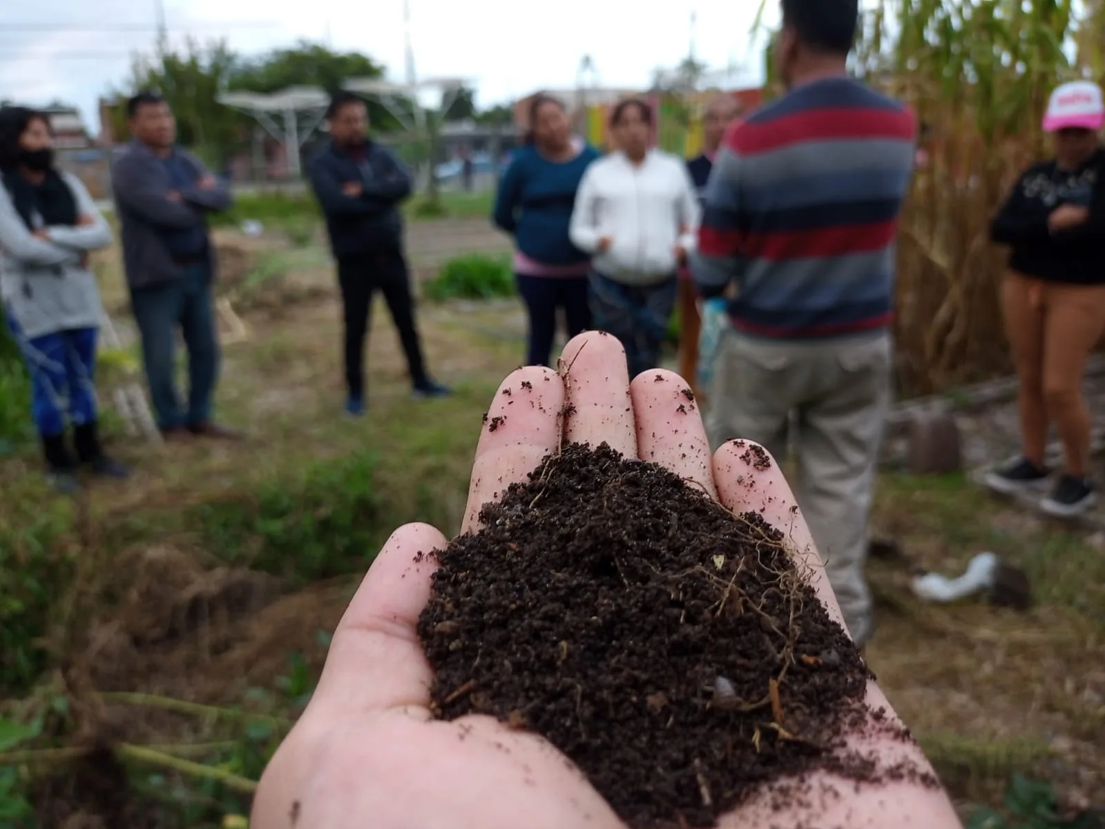 huerta 17 de Octubre 2