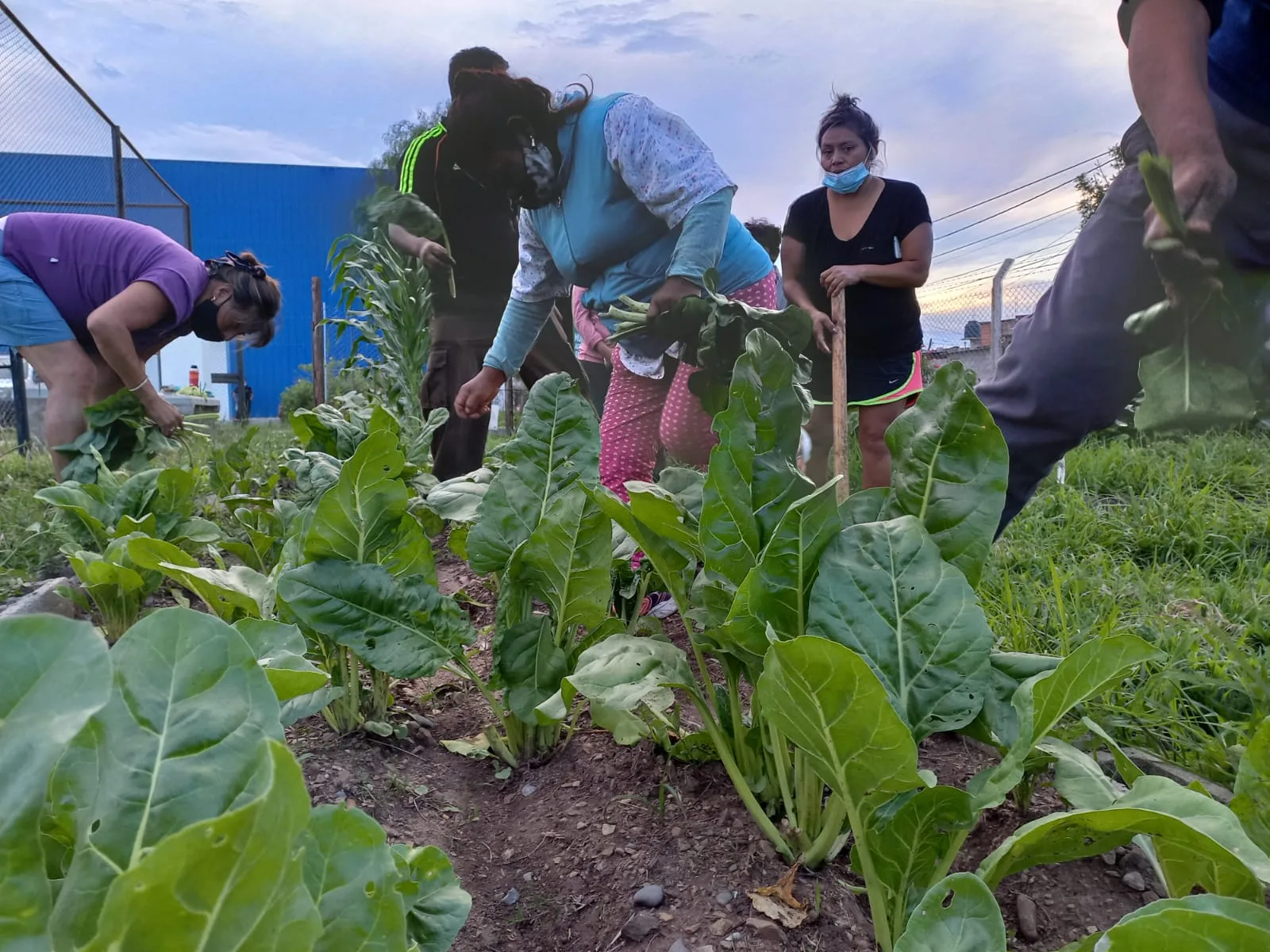 taller compost y huerta San Benito 3