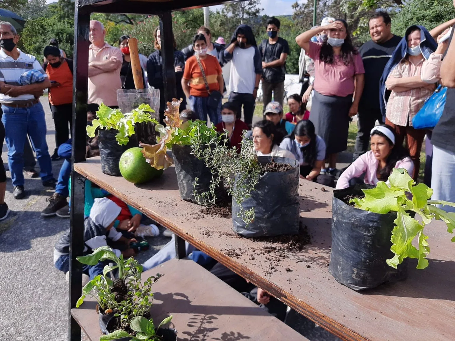 aromáticas y huerta 2