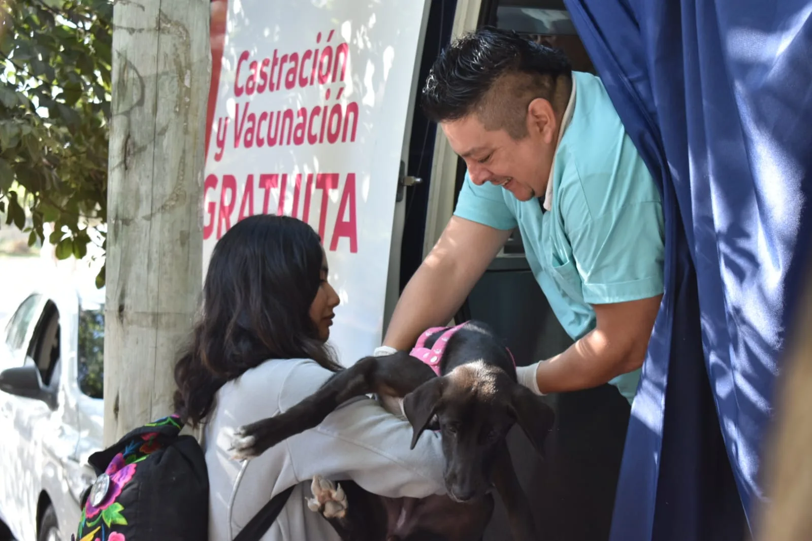 castración y vacunación Solidaridad 1