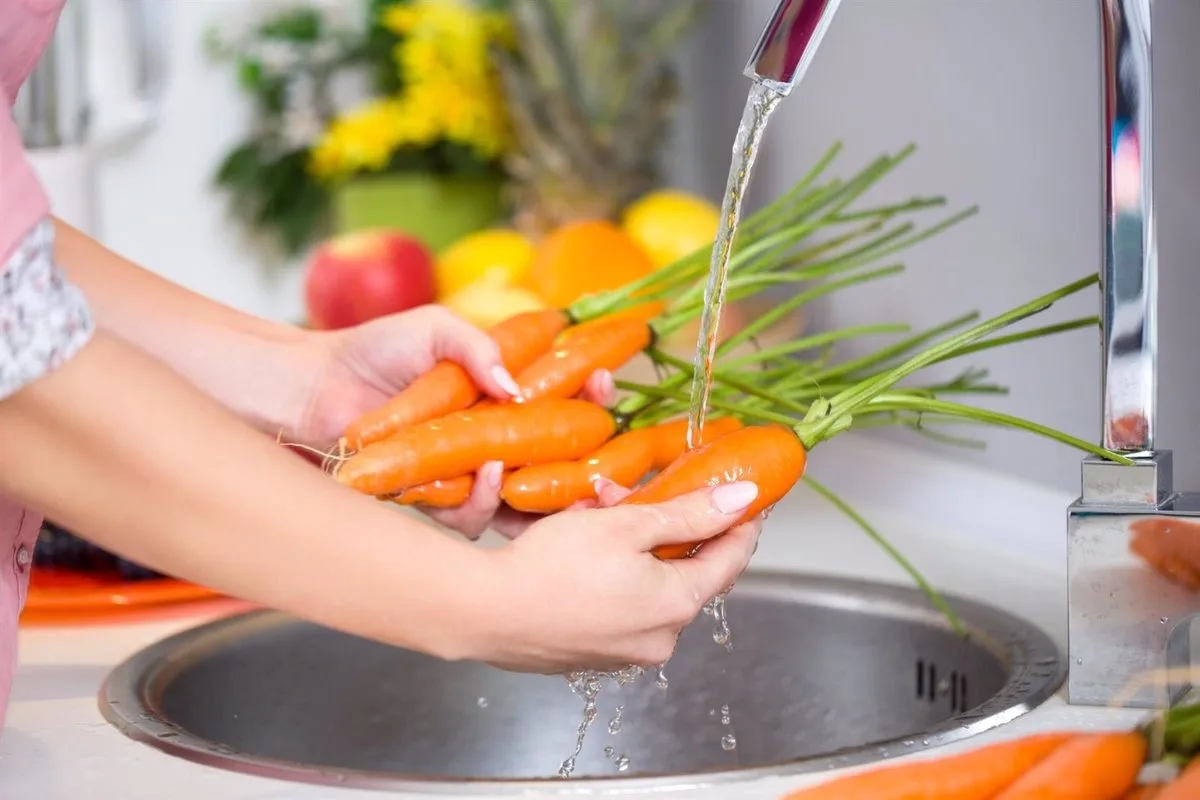 02/10/2014 Lavar alimentos, zanahorias, hortalizas, verdura.

En un año en todo el mundo se calcula que mueren unos dos millones de personas, la mayoría niños, debido a problemas de salud derivados del consumo de alimentos insalubres, por lo que este año la Organización Mundial de la Salud (OMS), con motivo del Día Mundial de la Salud, que se celebra el próximo 7 de abril, ha querido centrar la campaña en la inocuidad de los alimentos.

ESPAÑA EUROPA MADRID SALUD
GO FIT