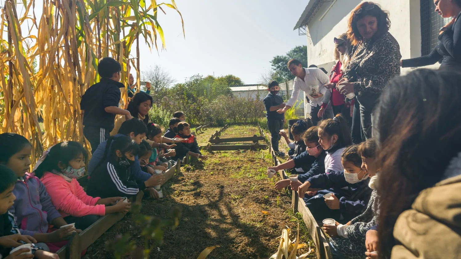 minimundo en la huerta 4