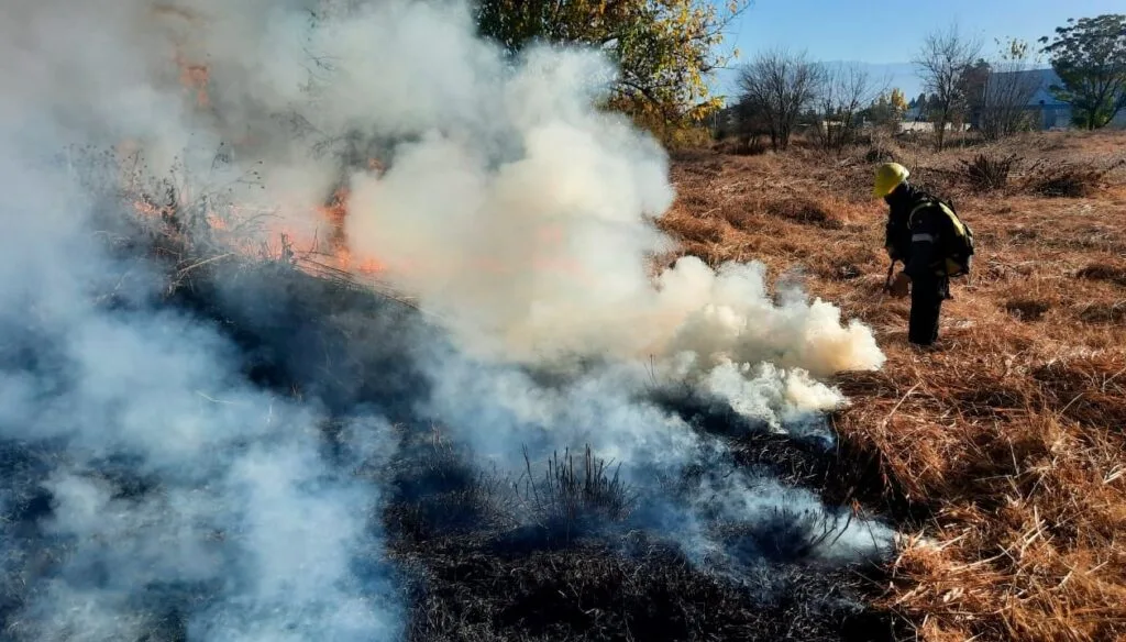 intervencion-incendios-pastizales-dd-1024x584-1-jpg