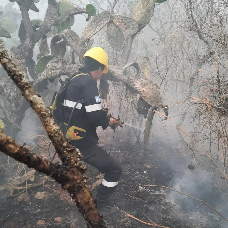 incendio cerro 20 de Febrero 1