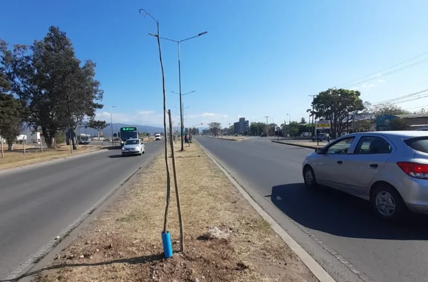 microbosque avenida bolivia  0