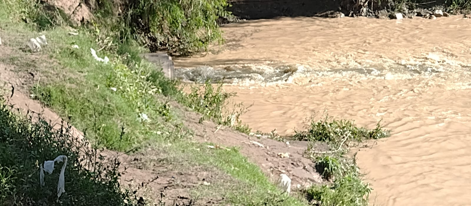 Salta inspeccionó el río Arenales por denuncia de mortandad de peces