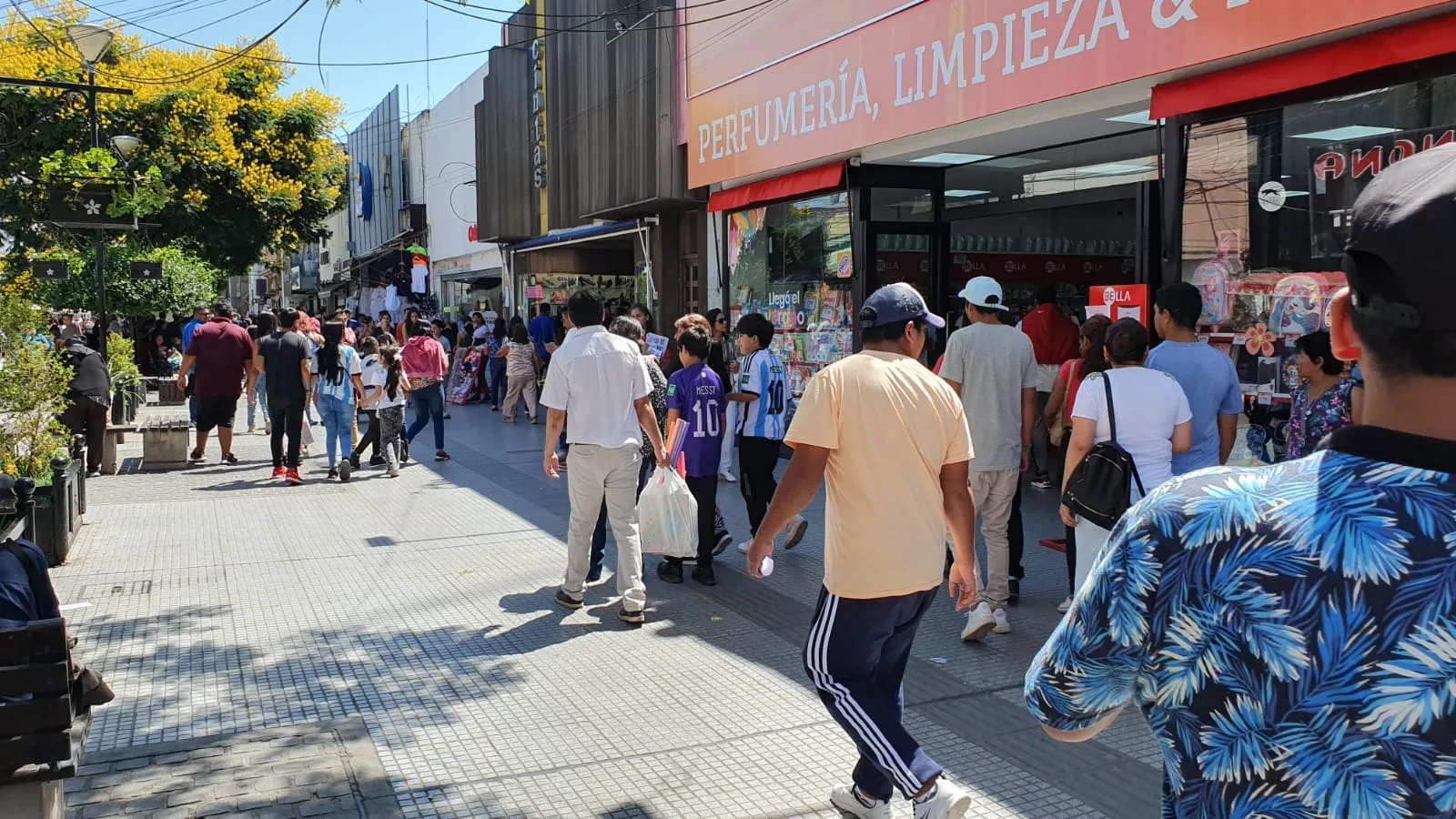 peatonal salta