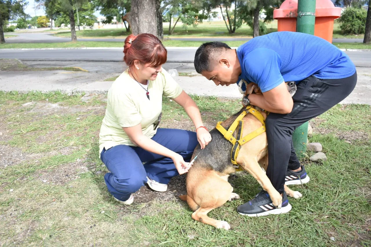 VACUNACION ANTIRRABICA CIUDAD DEL MILAGRO (12)