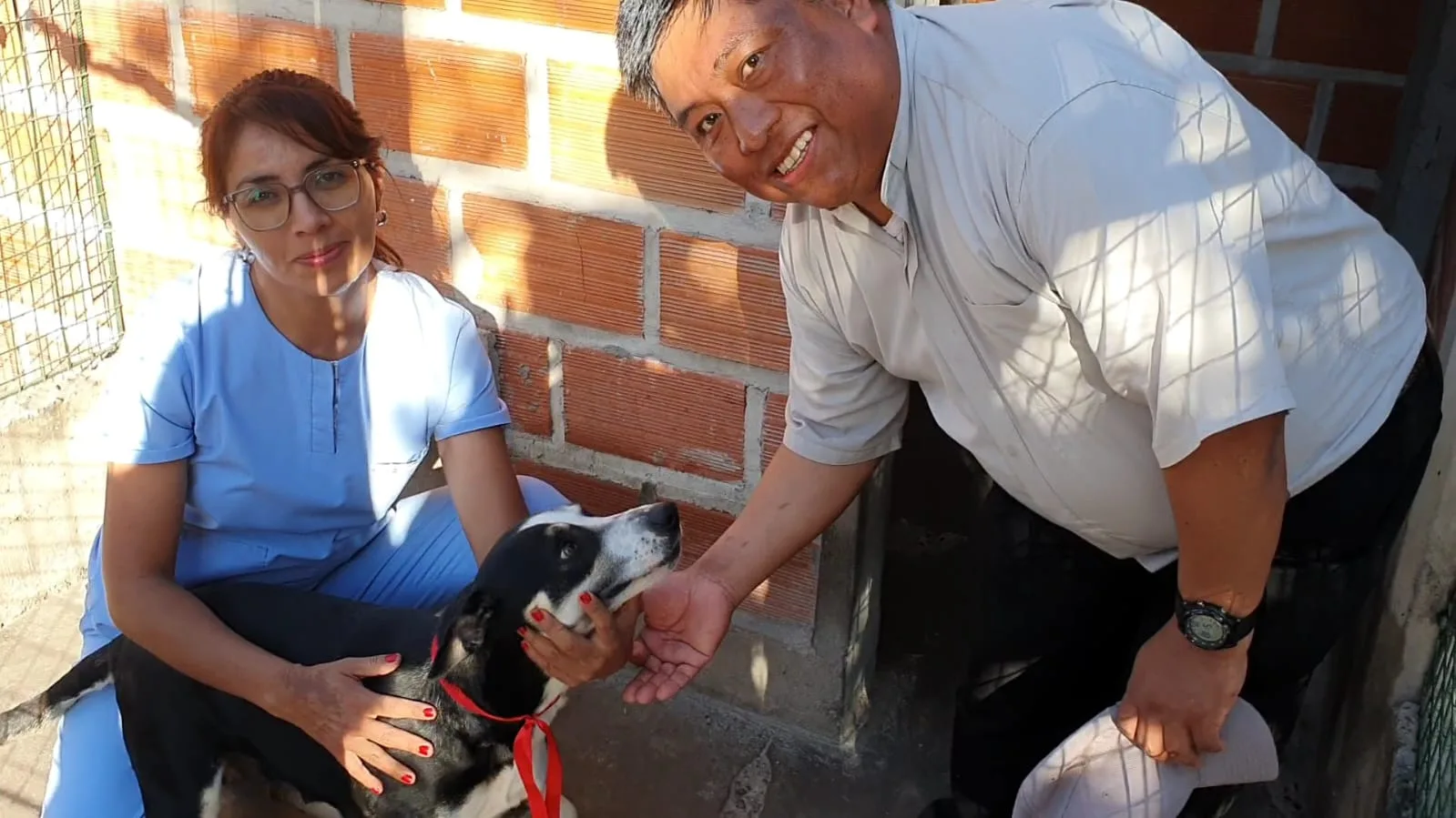 san roque centro de adopciones 0