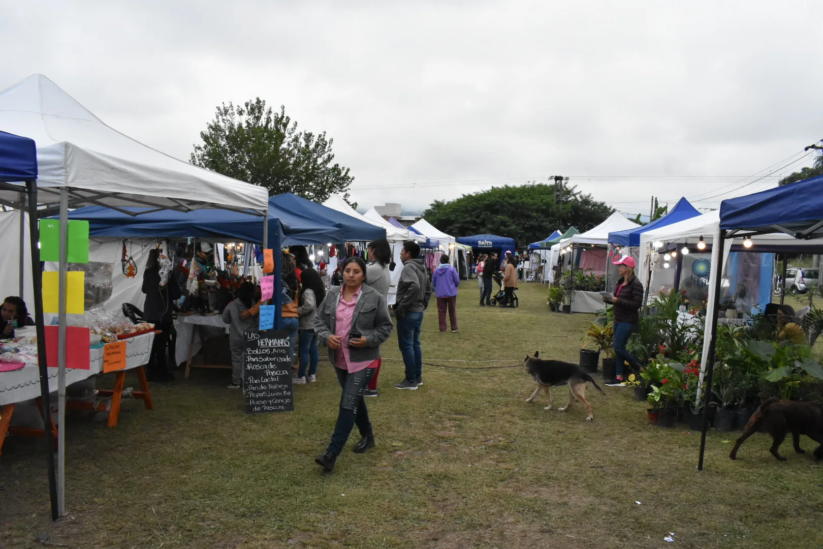 feria emprendedores G