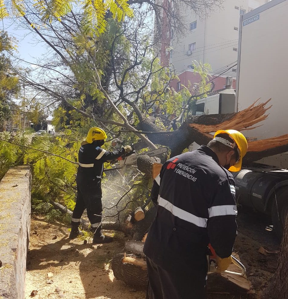 INTERVENCION GIR- CAMIÓN ARRASTRA RAMAS DE GRAN PORTE CORRIENTES 864 (1)