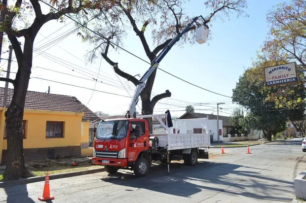 Poda-preventiva-en-barrio-Bancario1-wpcf_620x412