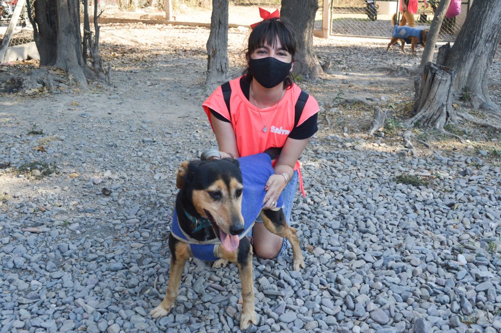 Voluntario Refugio mascotas1