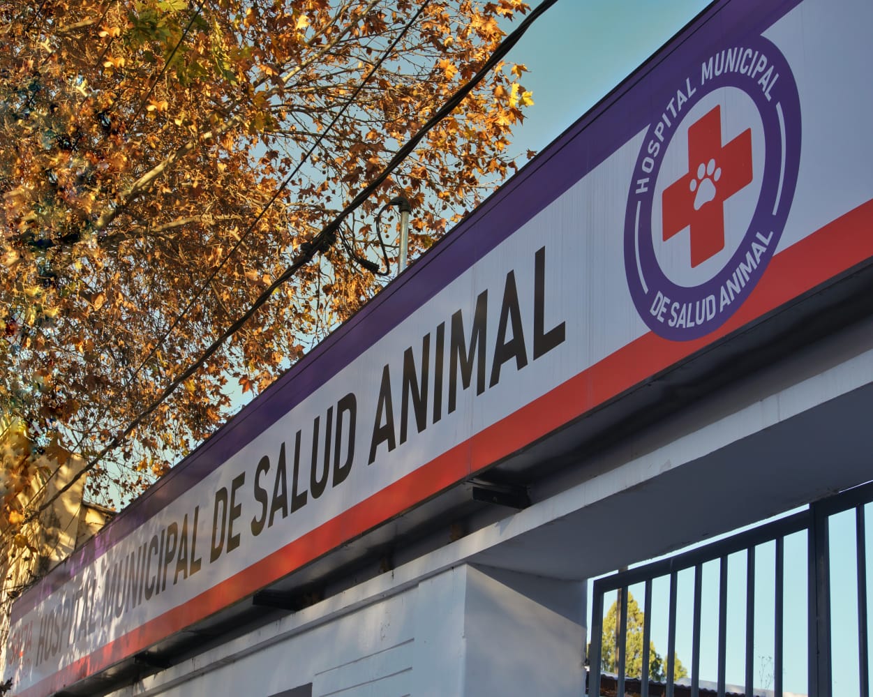 Hospital-de-Salud-Animal