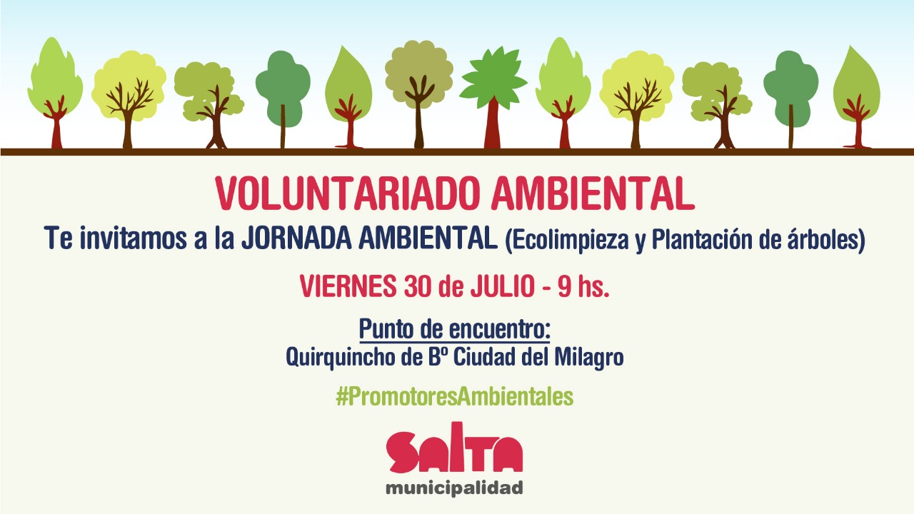 Voluntariado-ambiental-flyer