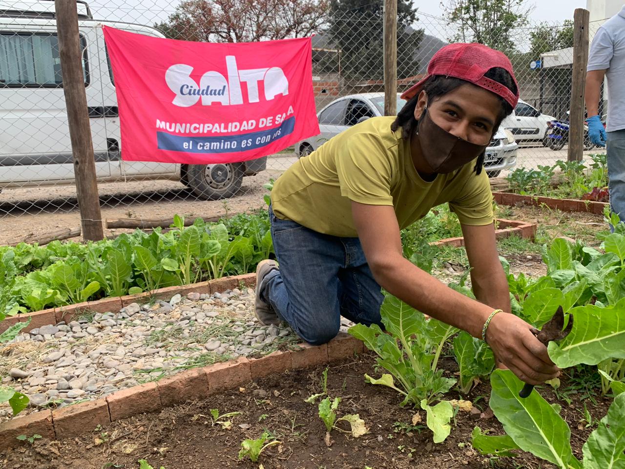 nueva-cosecha-vegetales-CIC-Const-2