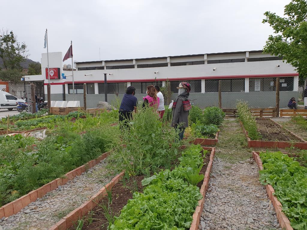 nueva cosecha vegetales CIC Const 4