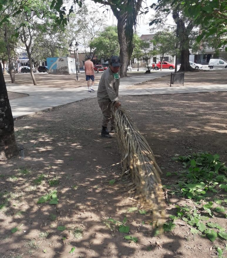 plaza Alvarado 4 ok