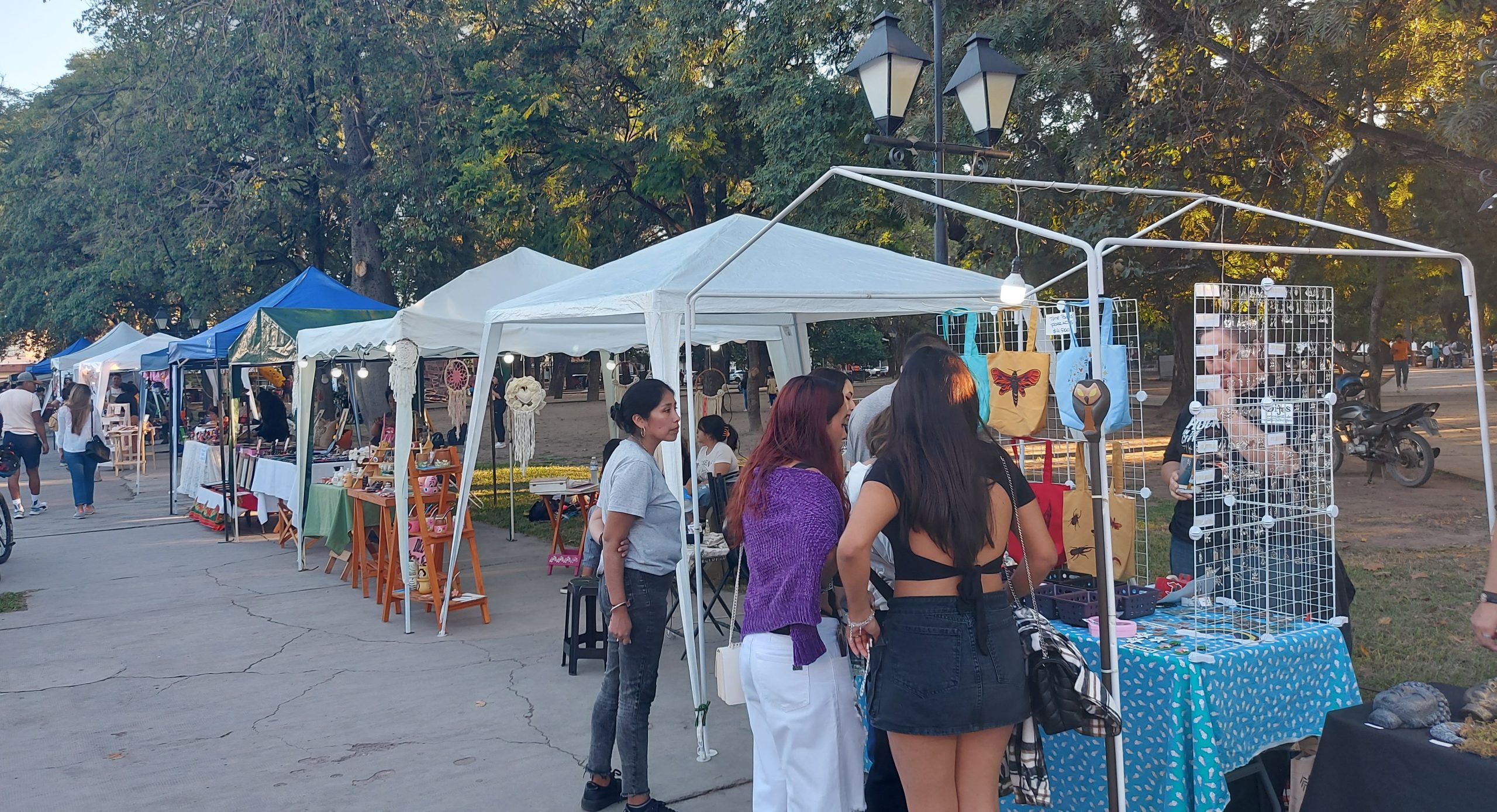 feria plaza Alvarado D