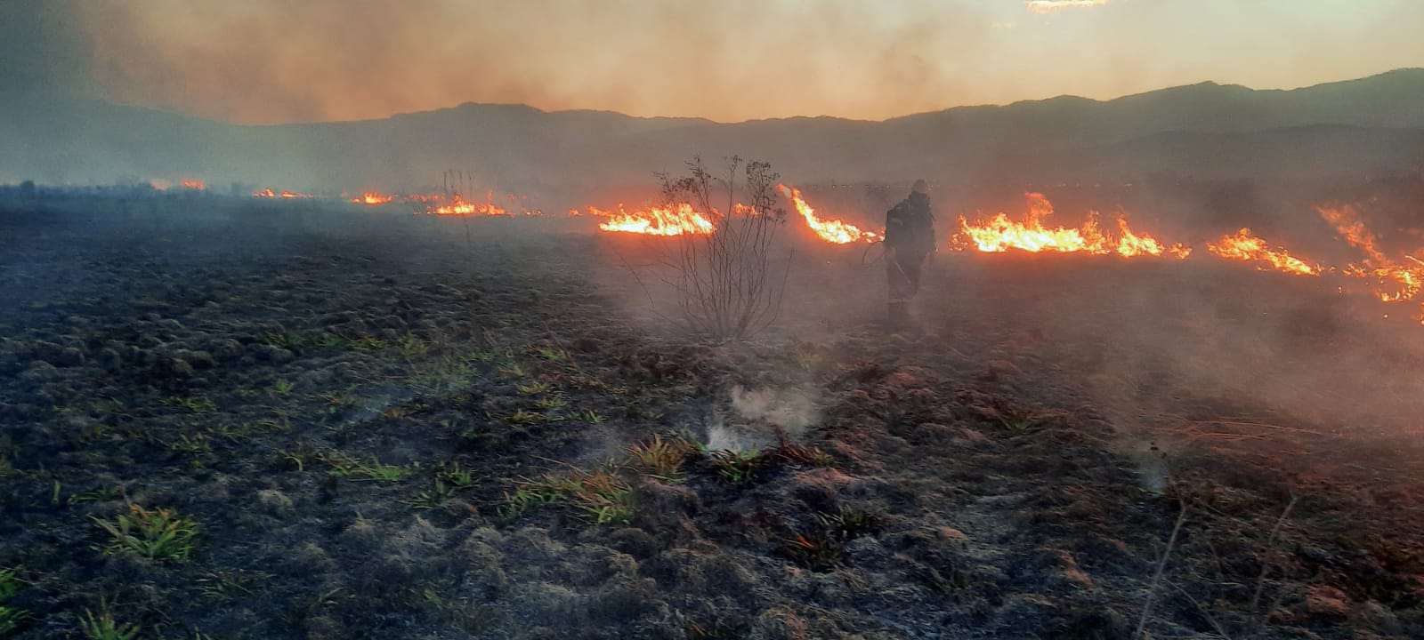 incendios2