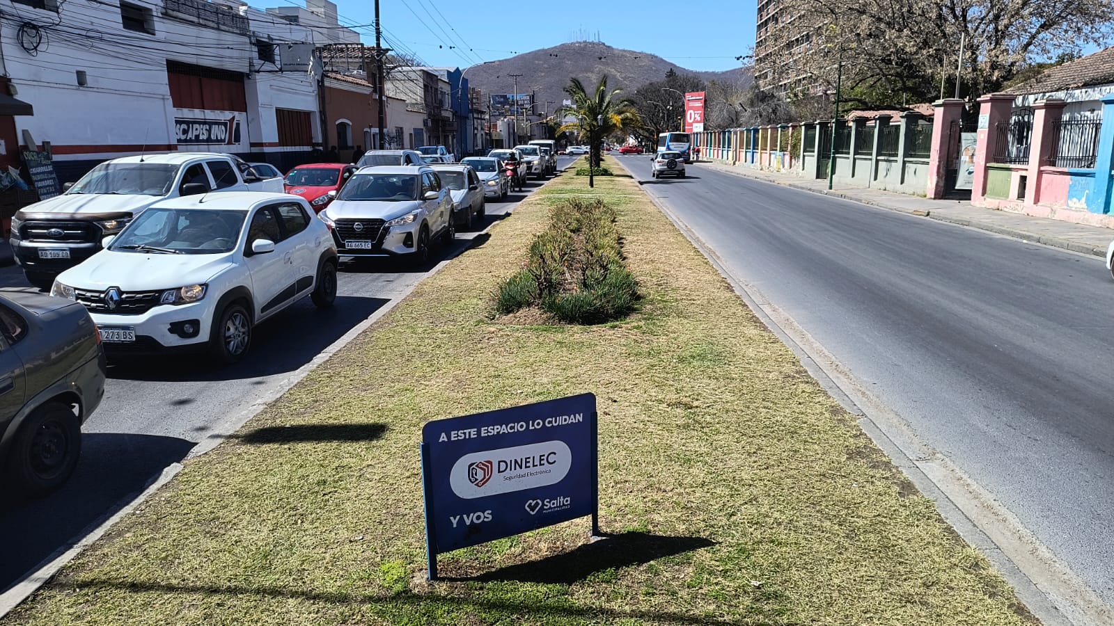 padrinazgo de espacios verdes (3)