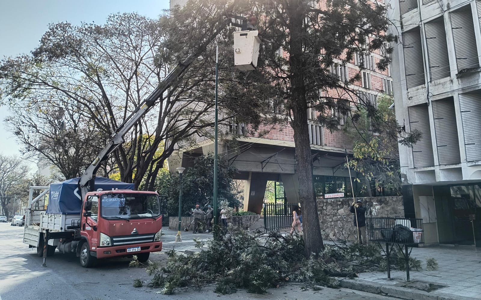 despeje cableado y poda por procesión del Milagro 6