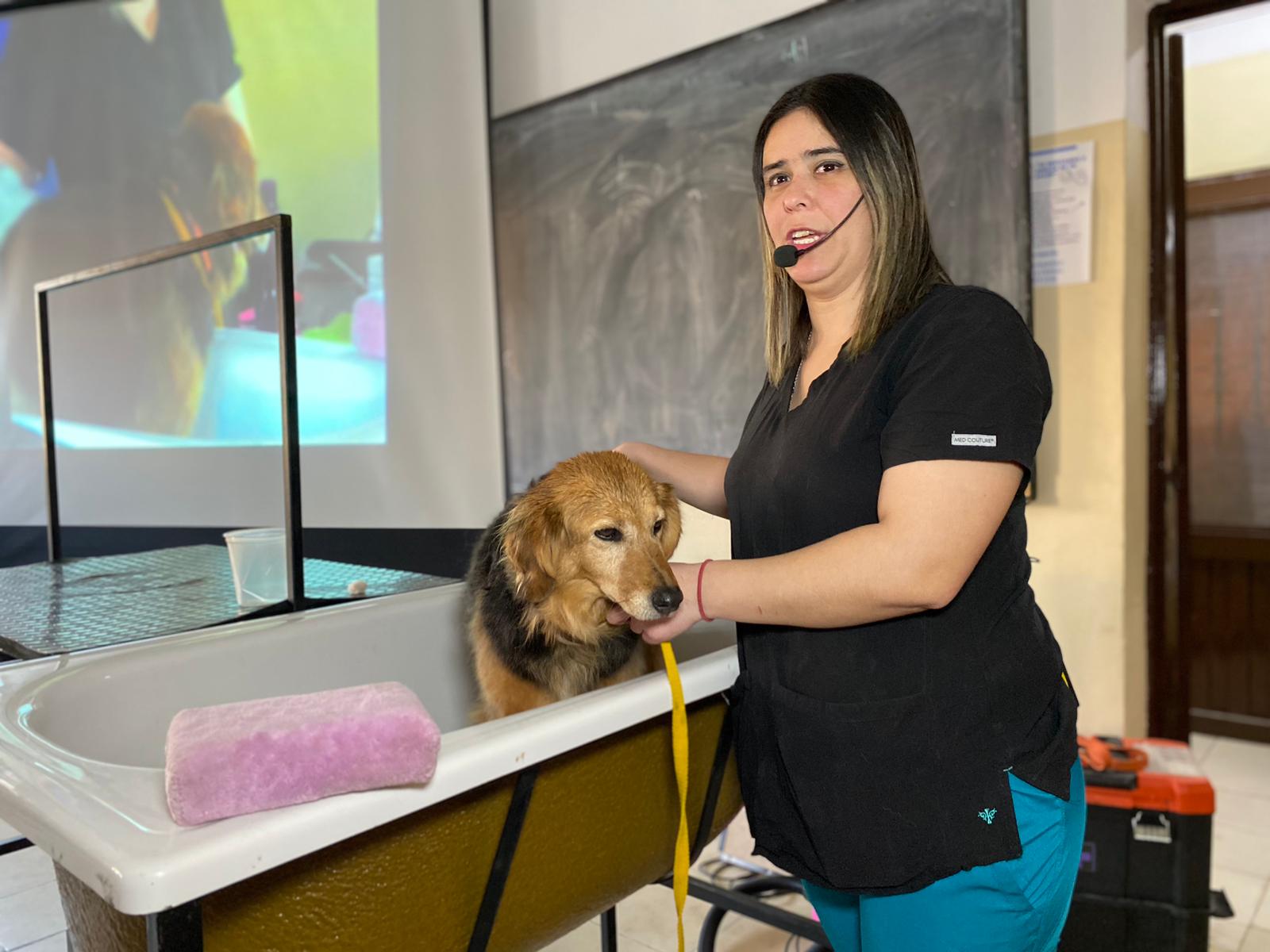 peluquería canina CIC Solidaridad (3)