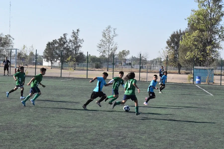 fútbol infantil 5