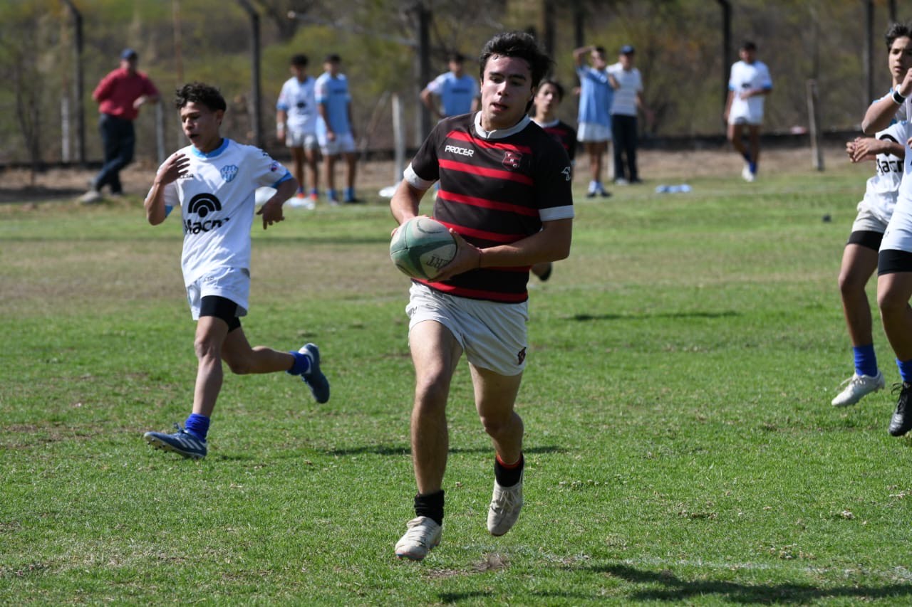 rugby  (4)