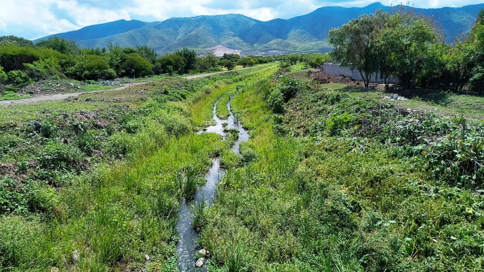 limpieza canal  (5)