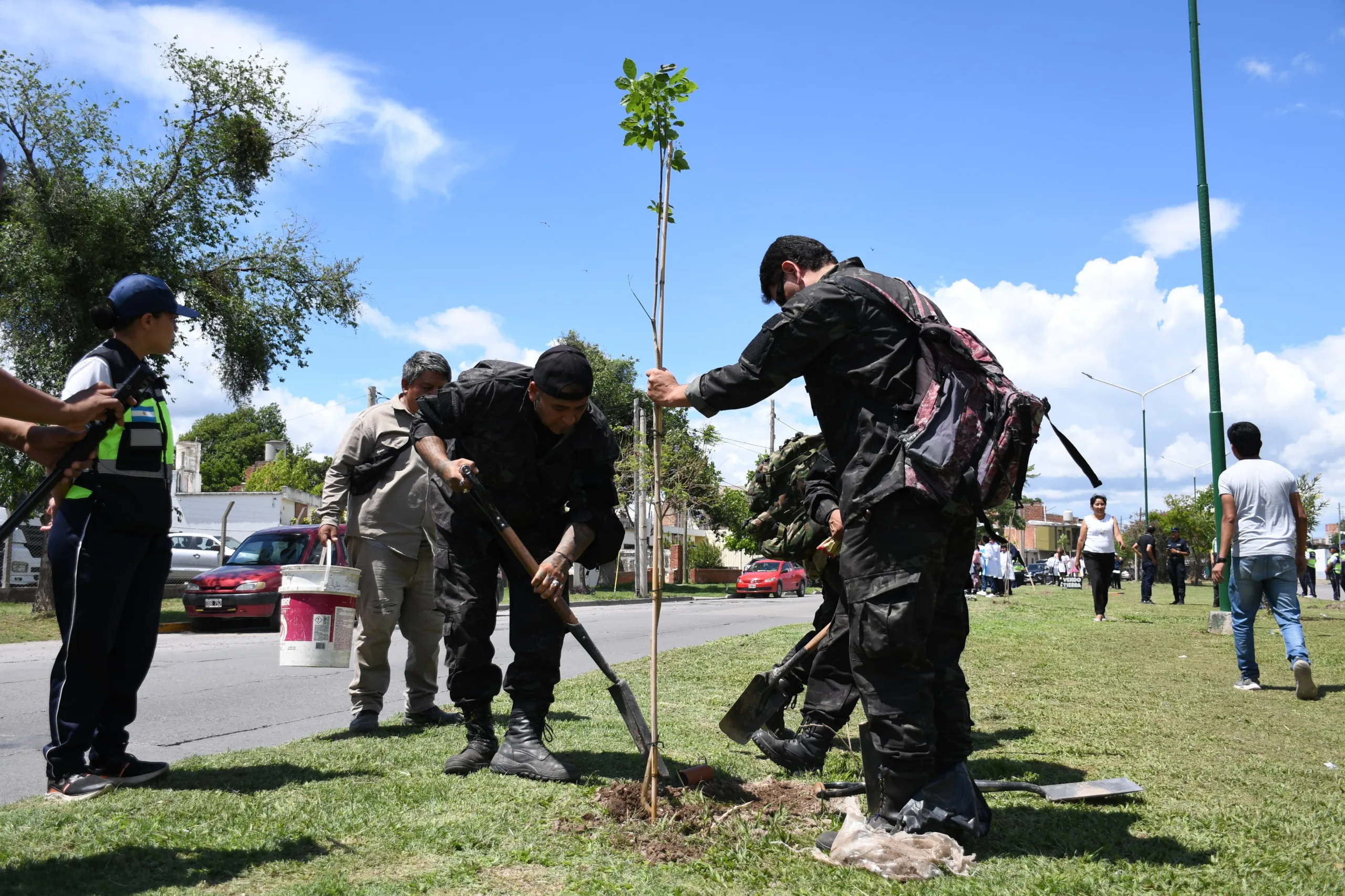 plantacion av tavella (2)