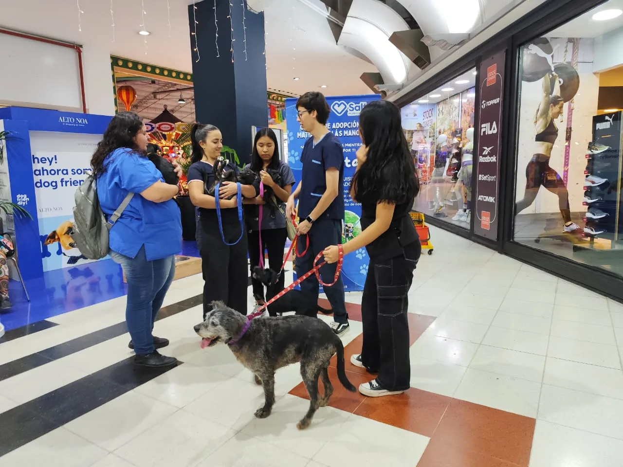 jornada de adopciones 30 noviembre 2024 F