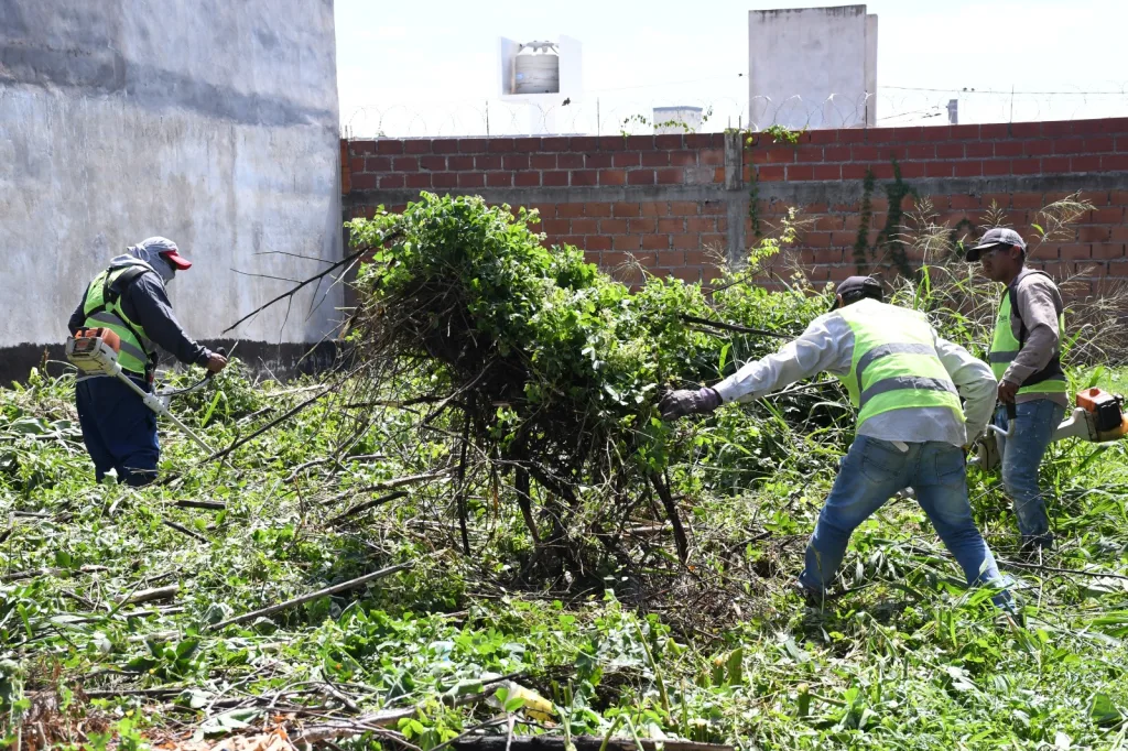 limpieza-baldio-santa-laura-1-1024x682