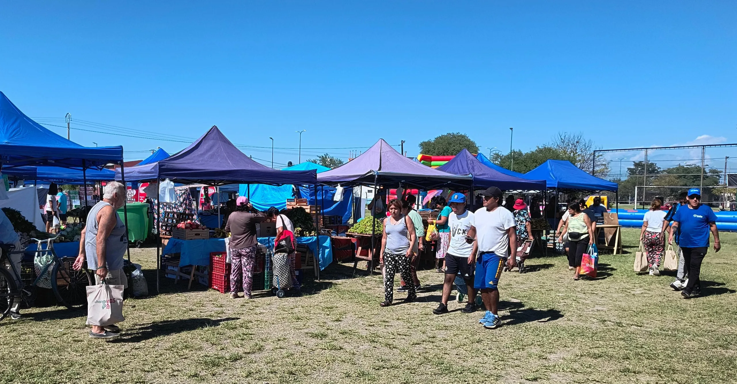 Mercado en tu barrio San Benito (3)