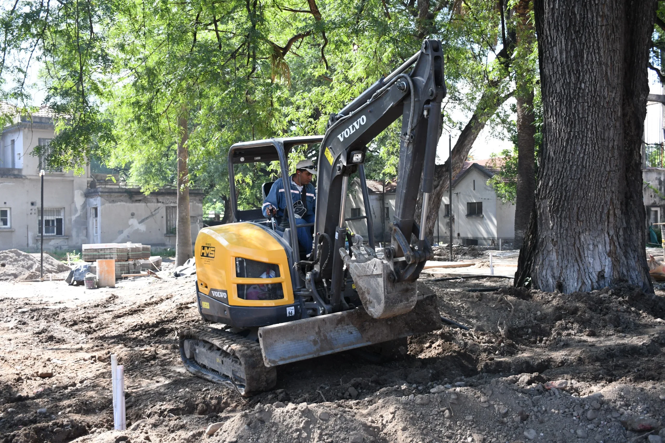 obras ex Palúdica (4)