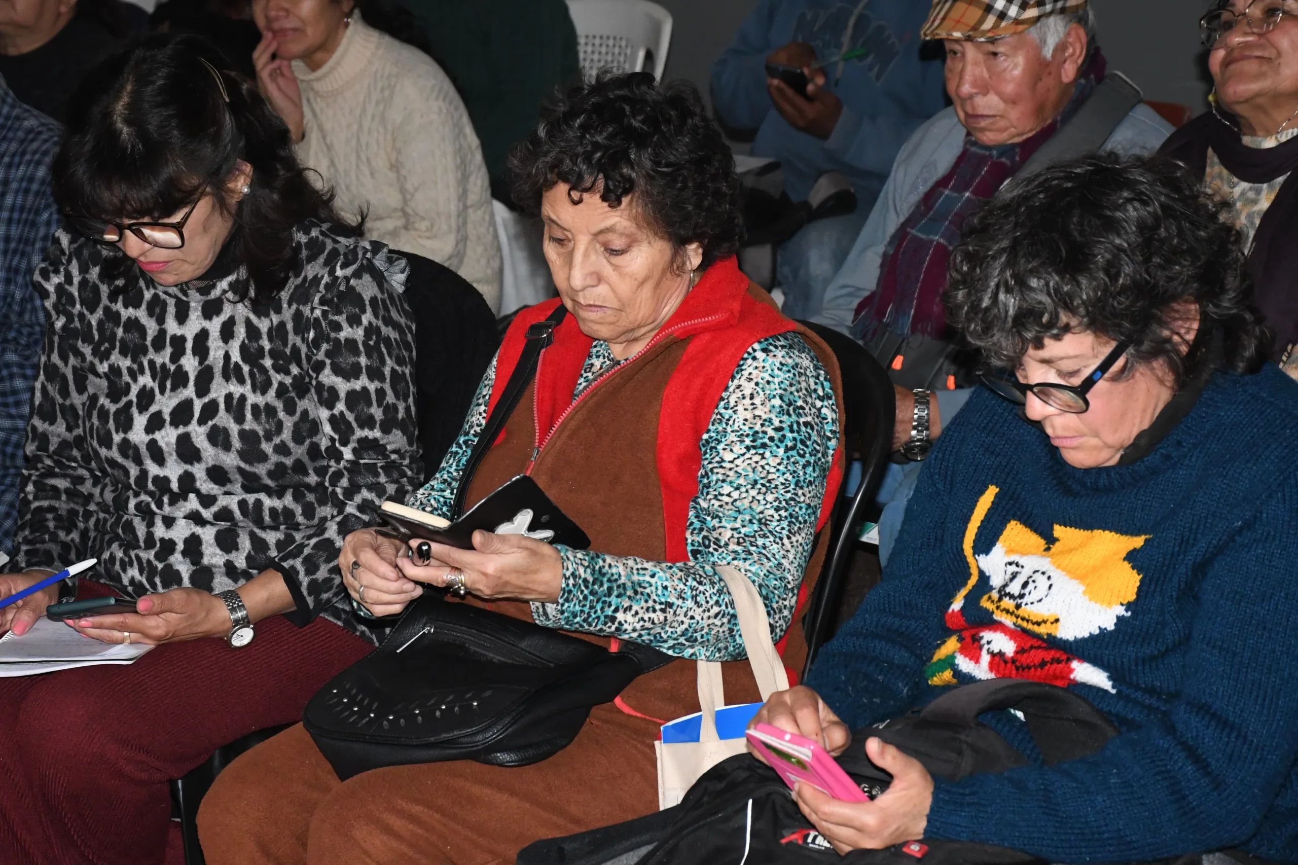 adultos conectados (1)