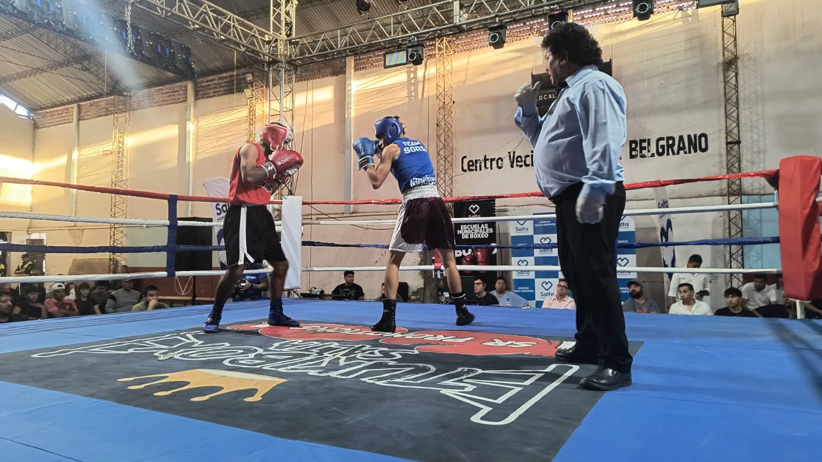 boxeo  (2)