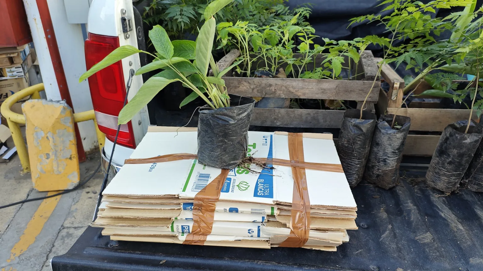 eco-canje-marzo-2025-6-1536x864