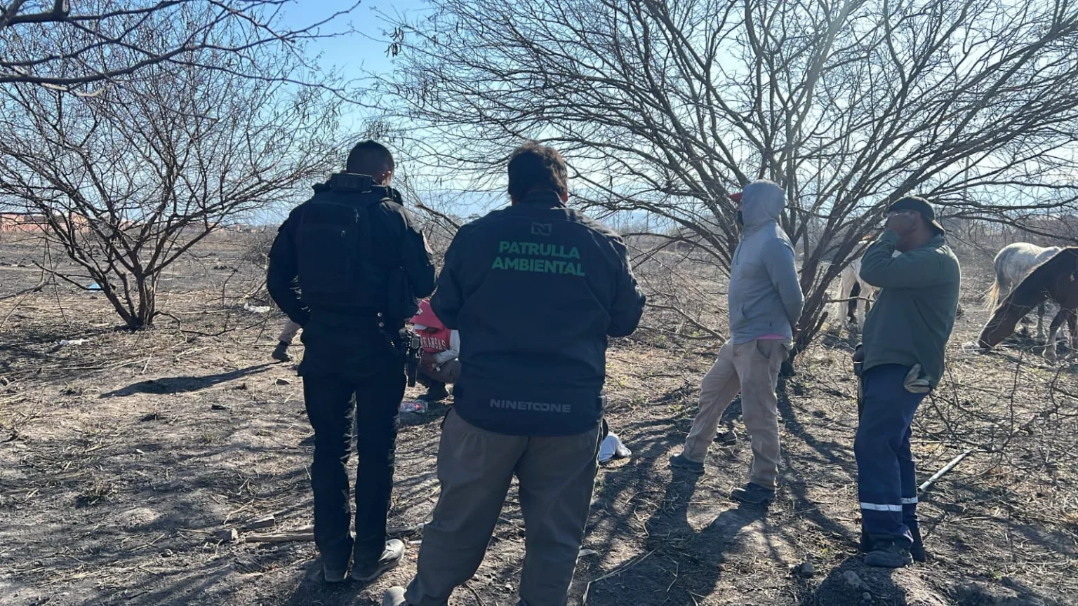 img-20250827-wa0033-1536x864