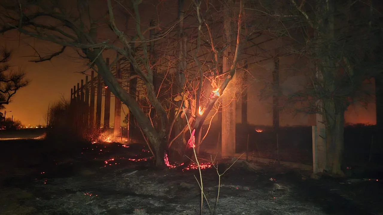 incedios zona oeste  (4)