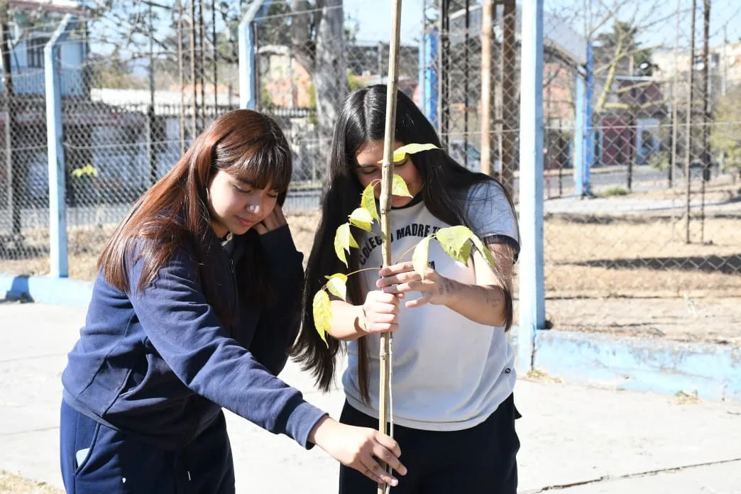 taller de arbolado (4)