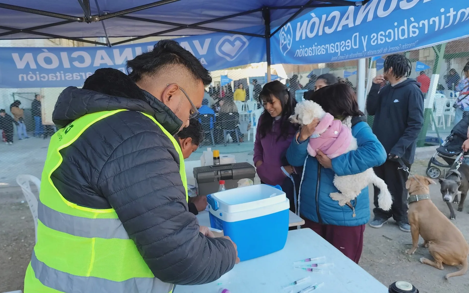 vacunación antirrábica San José 4