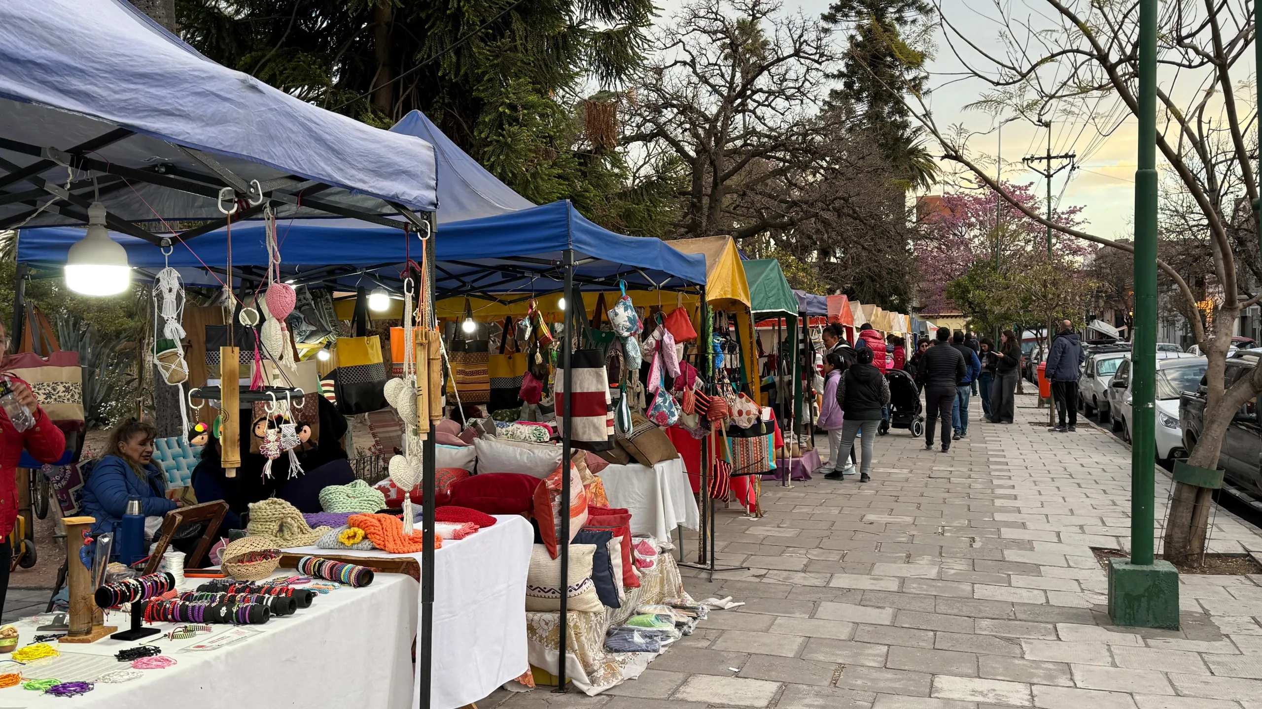 1.foto paseo artesanal plaza güemes