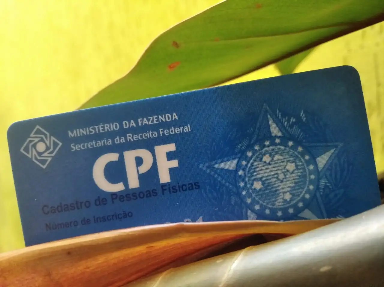 CPF-brasileño