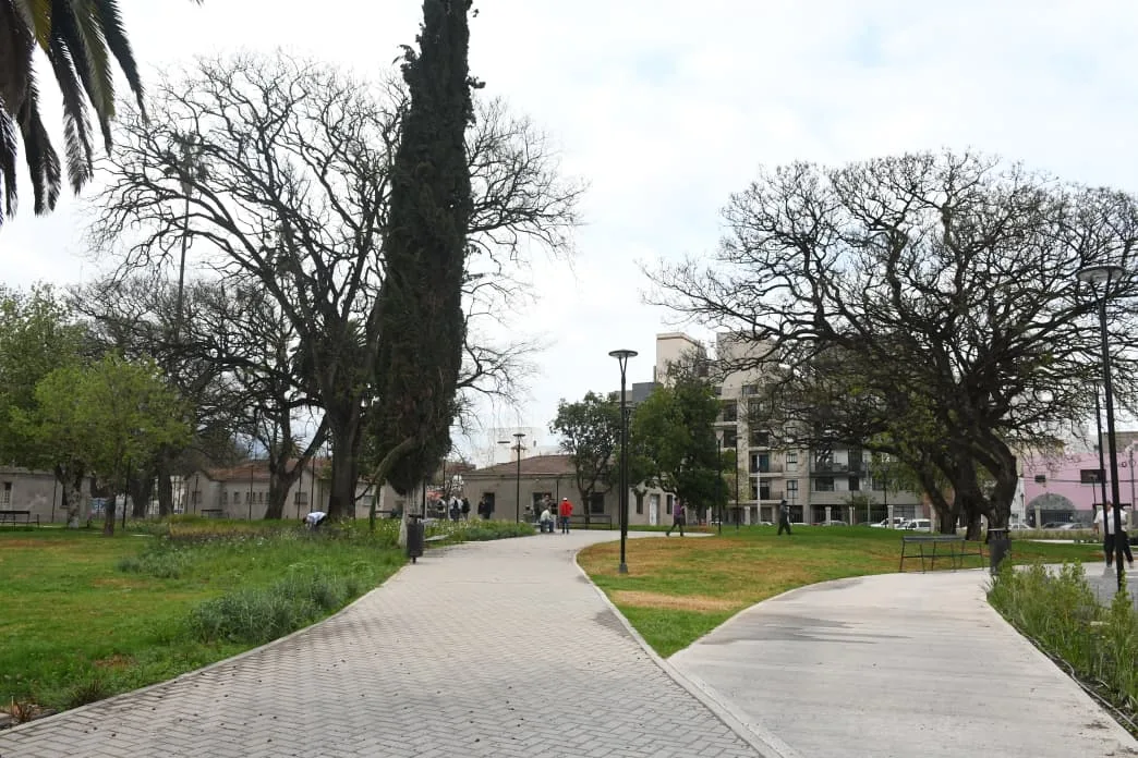 obras ex palúdica (15)