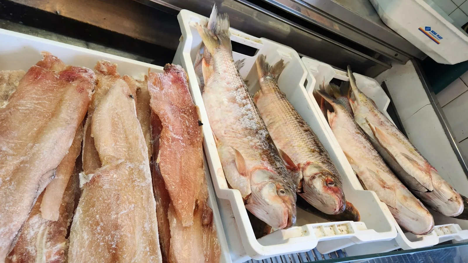 pescados y mariscos (8)